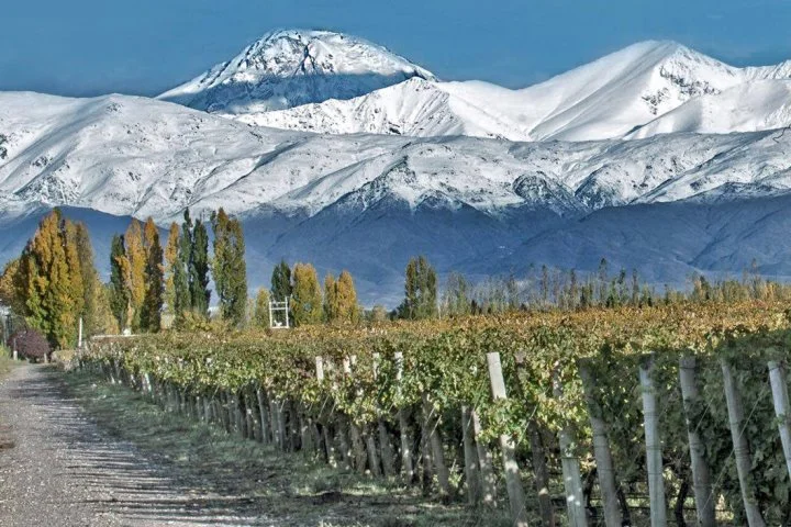 Mendoza best place to visit in argentina