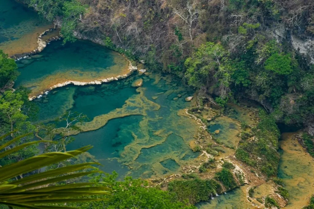 Semuc Champey: Covered up Pools in the Jungle